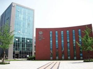 辽宁泰阳医药科技开发 创新驱动医药科技的未来